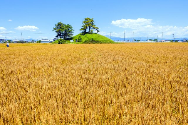 群馬県玉村町にある軍配山古墳と広大な畑の町並み