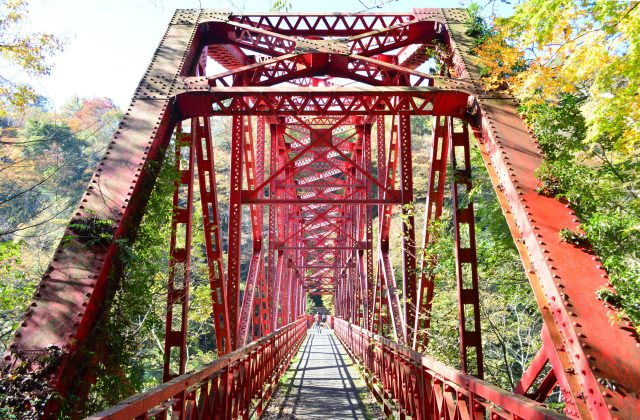 広島県神石高原町にある国定の桜橋