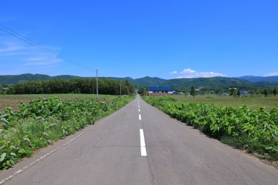 北海道赤井川村を通るまっすぐな道