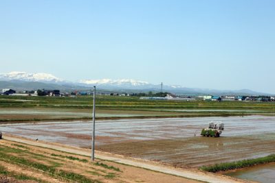北海道妹背牛町ののどかな田園風景