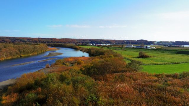 北海道むかわ町を流れる鵡川と周辺ののどかな風景