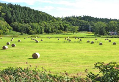 北海道音威子府村にあるのどかな牧場の風景と酪農