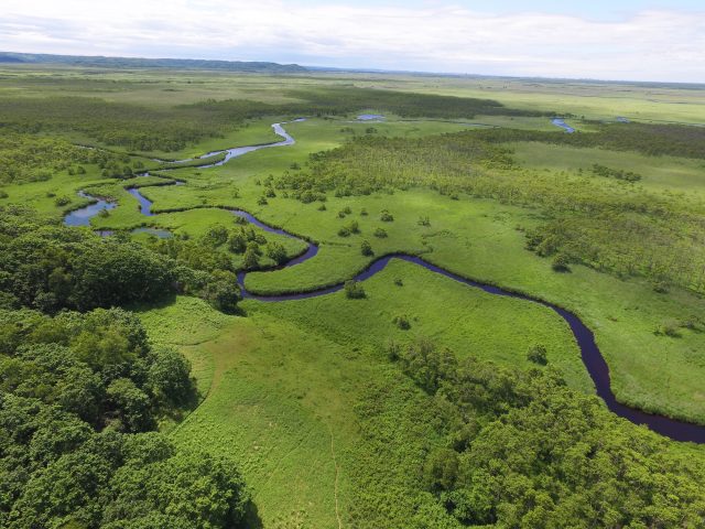 北海道鶴居村の釧路湿原の空撮