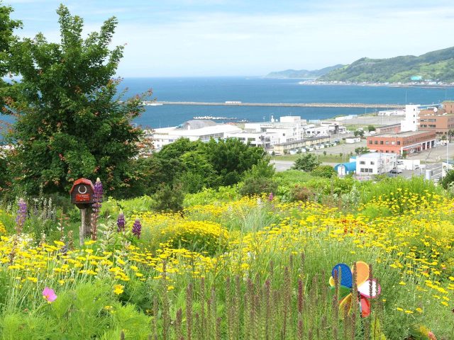 北海道浦河町にあるルピナスの丘から眺める港町の風景とのどかな田舎