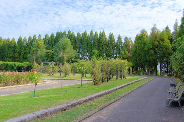 兵庫県加東市の街並み(兵庫県立播磨中央公園)