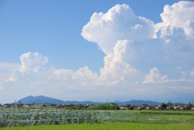 茨城県阿見町ののどかな夏の入道雲と田園風景