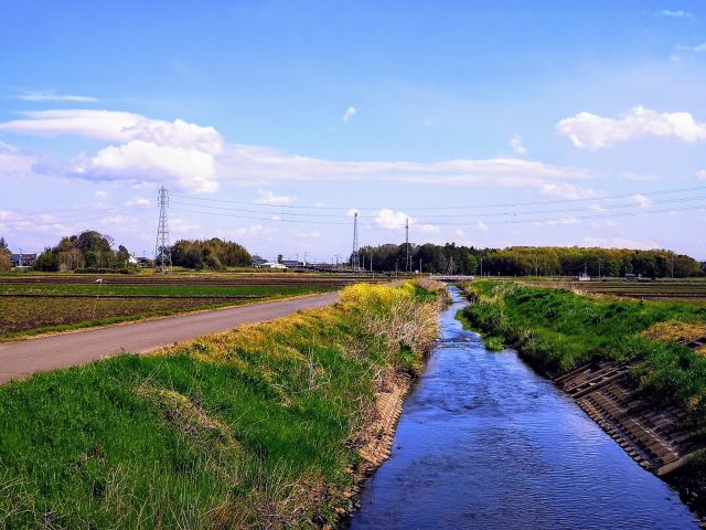 茨城県筑西市を流れる田舎の小川