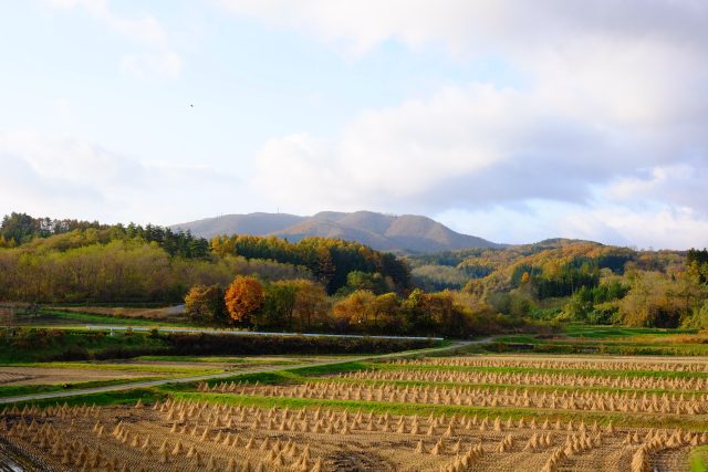 岩手県軽米町の秋の稲刈り後の田んぼの風景