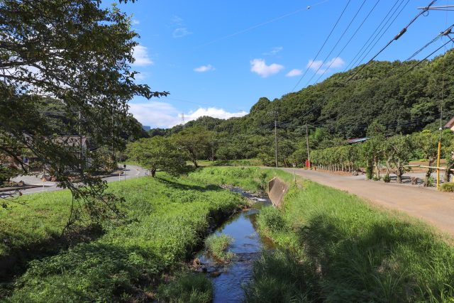 神奈川県中井町の小川とと田舎の風景