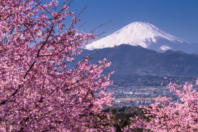 神奈川県大井町のおおいゆめの里公園からの富士山と町並み