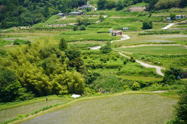 高知県大豊町の穴内の棚田と田舎の町並み