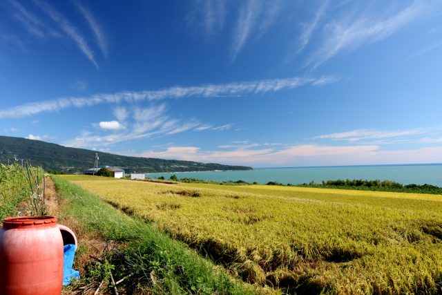 高知県田野町の田園風景と海沿いの町並み