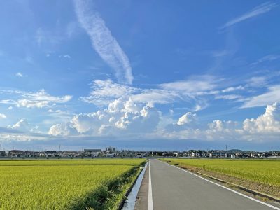 熊本県嘉島町の田んぼと田舎の風景