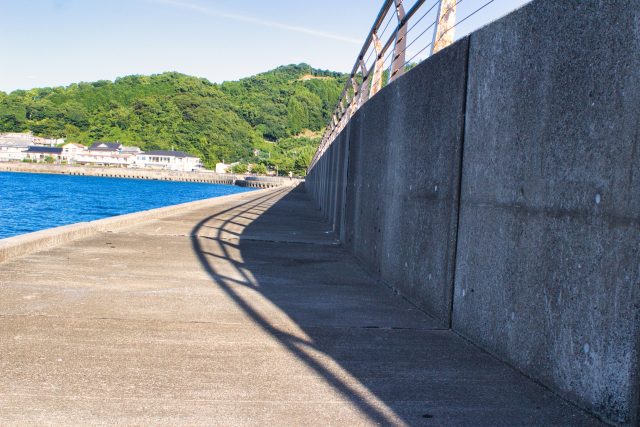 熊本県水俣市の街並み(熊本県水俣市湯の児　風景)