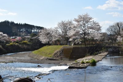 熊本県小国町を流れる杖立川と桜と町並み