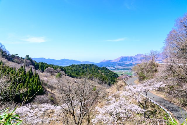 熊本県高森町の高森峠からの阿蘇山と桜と町内の風景