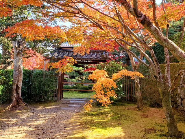 京都府京田辺市の街並み(京都府京田辺市の寺と紅葉)