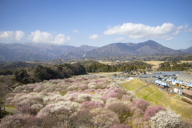 三重県いなべ市の街並み(いなべ市農業公園 鈴鹿山脈)