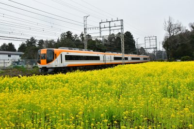 三重県明和町の駅周辺の町並みと菜の花畑と特急列車