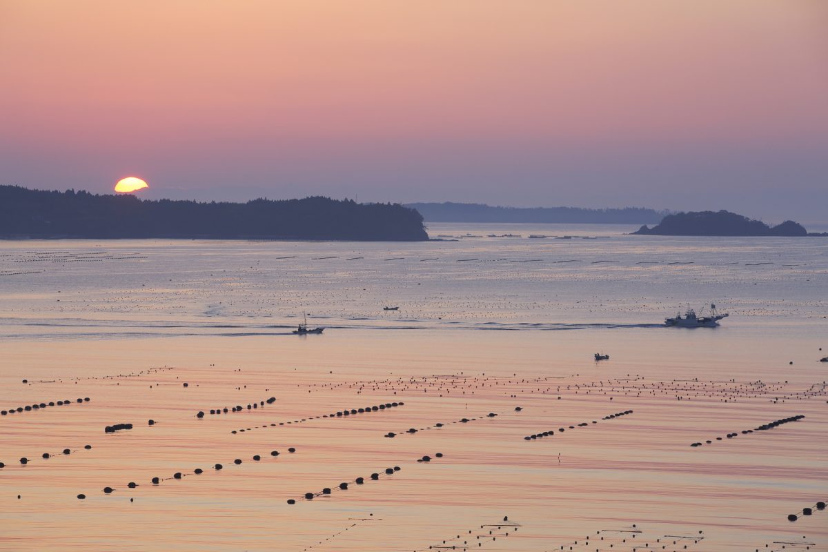 宮城県南三陸町から見える志津川湾に沈む夕焼け