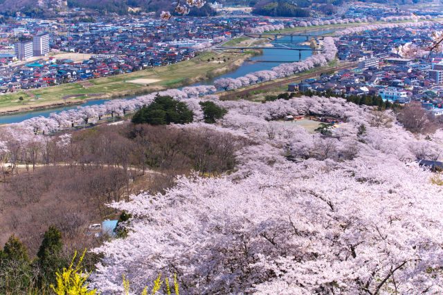 宮城県白石市の市街地方面の風景と有名な千本桜