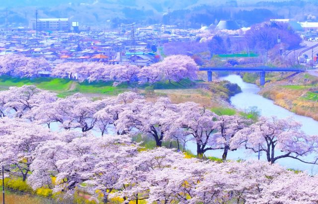 宮城県柴田町の有名な一目千本桜と白石川、町の風景