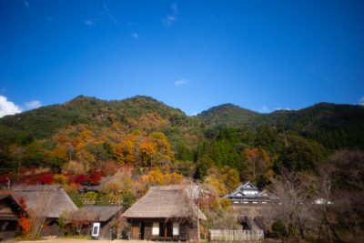 宮崎県西米良村ののどかな田舎の風景と紅葉