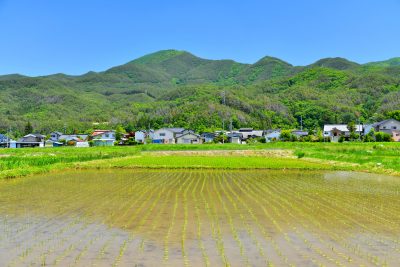 長野県筑北村ののどかな田園風景