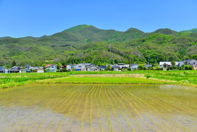 長野県筑北村ののどかな田園風景