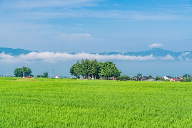 長野県原村の広大な田園風景と田舎町