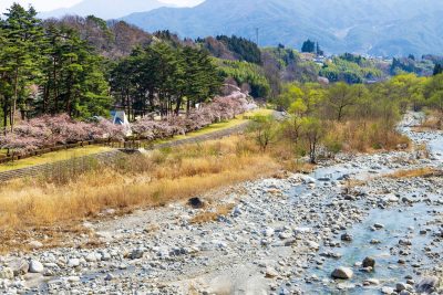 長野県飯島町与田切公園の春景色と町並み