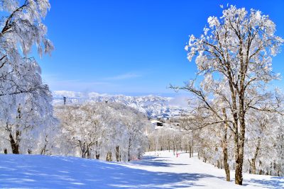長野県野沢温泉村のスキー場／やまびこゲレンデより小毛無展望台方面を望む(