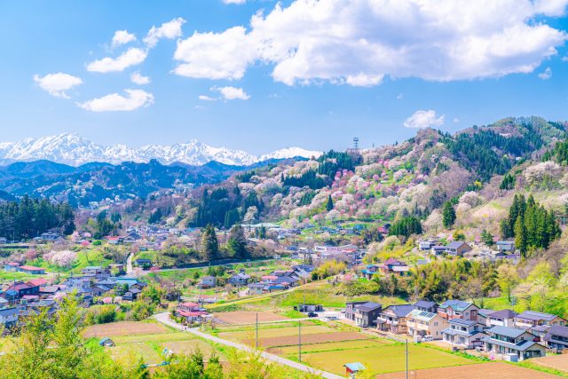 長野県小川村・二反田の桜と町並み