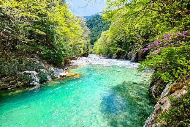 長野県大桑村の阿寺渓谷の清らかな川