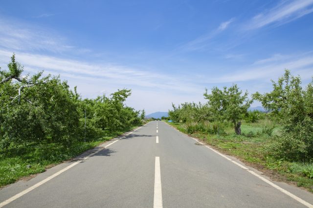 長野県喬木村の真っすぐ伸びる田舎の農道とりんごの木