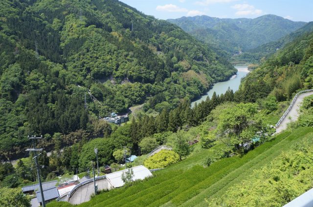 長野県天龍村の山の中腹の集落と天龍川