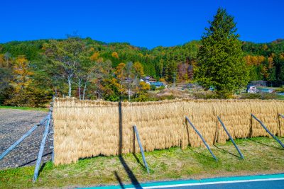 長野県売木村の秋の風景