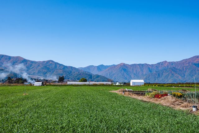 長野県山形村の牧草畑と南アルプスのある町並み