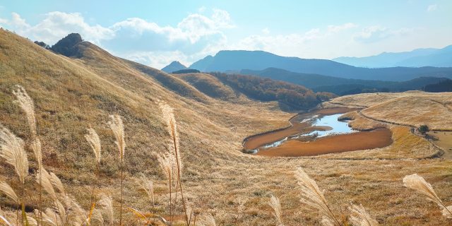 奈良県曽爾村の曽爾高原ののどかな風景