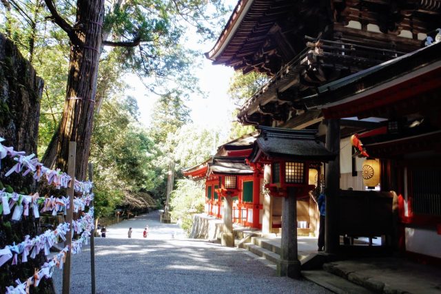 奈良県天理市の街並み(建物 神社)