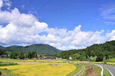 新潟県阿賀町の田舎道と田園風景