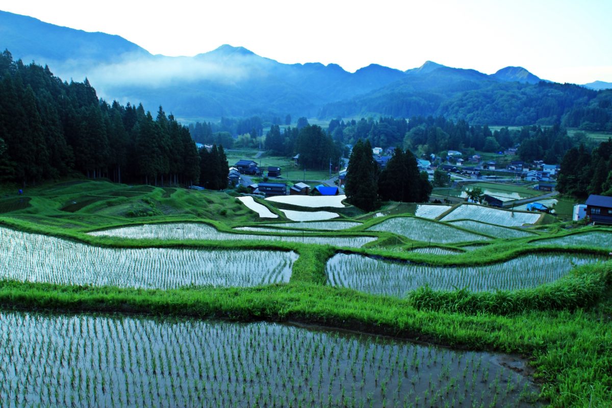 新潟県三条市の棚田と田舎の風景