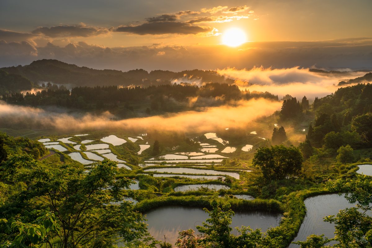 新潟県十日町市の星峠の棚田と夕陽の風景
