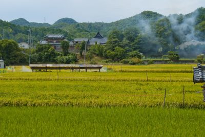 大阪府能勢町の棚田と田舎の風景