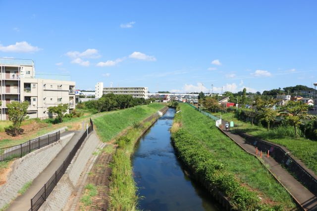 埼玉県新座市の黒目川沿いの田舎の風景