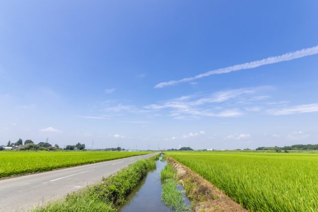 埼玉県坂戸市の田んぼの田舎の風景