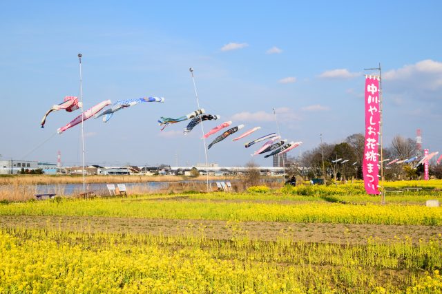 埼玉県八潮市の中川やしお花桃まつりの風景