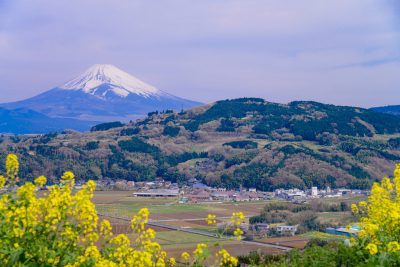 静岡県函南町の田舎の風景と富士山の眺め