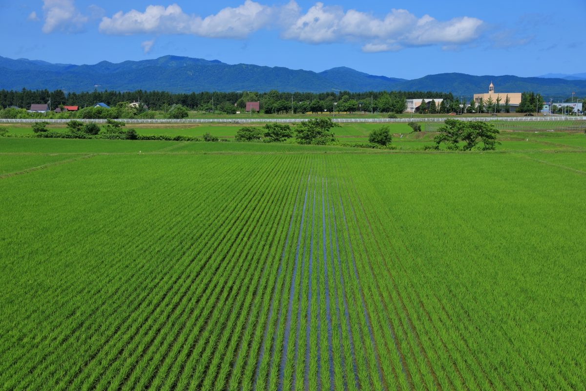 砂川市の広大な田園風景