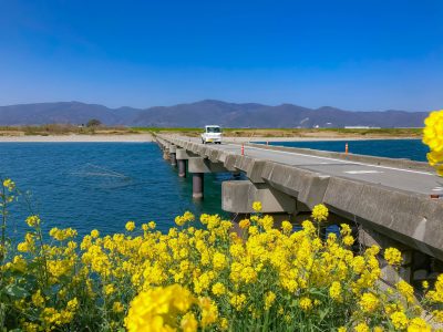 徳島県上板町の吉野川にかかる高瀬橋と田舎の風景